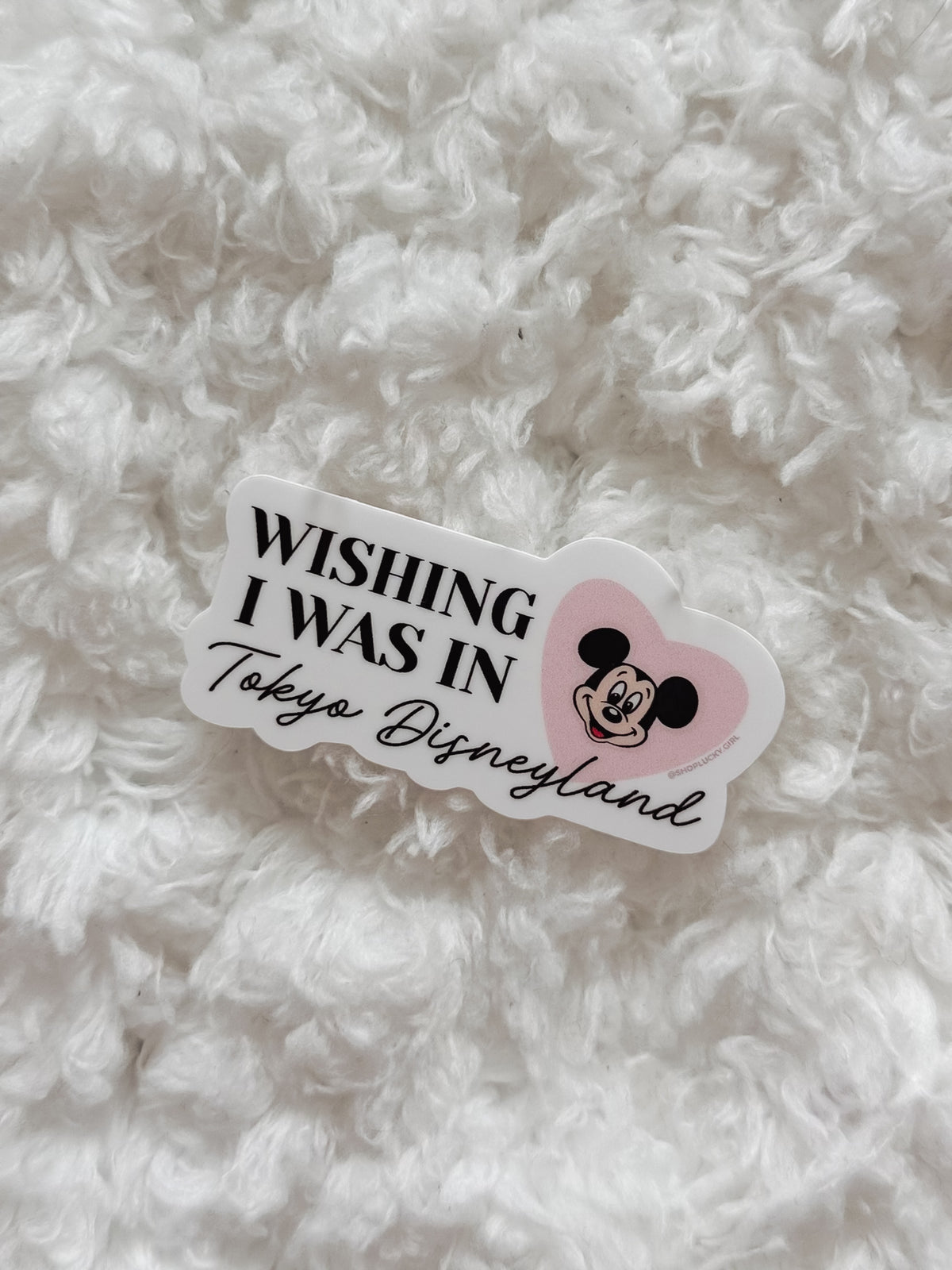 Wishing I Was In TDR Sticker